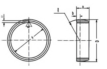 A2FO_A6VM_A7VO_A8VO pump motor piston rings.jpg